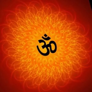 Meet your Posher, Posh